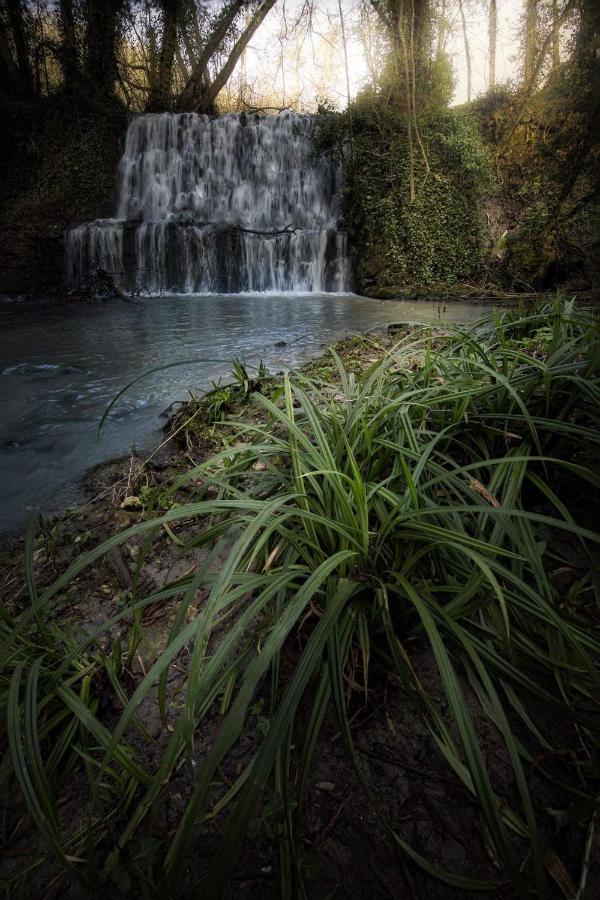 Il Molinaccio Al Rio Chiaro Villa Civitella dʼAgliano Exteriör bild