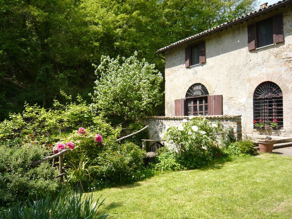 Il Molinaccio Al Rio Chiaro Villa Civitella dʼAgliano Exteriör bild