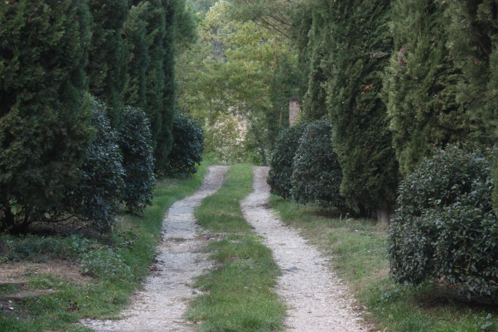 Il Molinaccio Al Rio Chiaro Villa Civitella dʼAgliano Exteriör bild