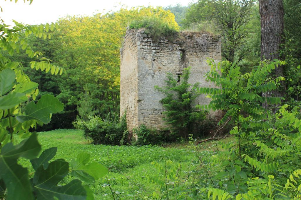 Il Molinaccio Al Rio Chiaro Villa Civitella dʼAgliano Exteriör bild