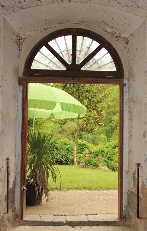 Il Molinaccio Al Rio Chiaro Villa Civitella dʼAgliano Exteriör bild