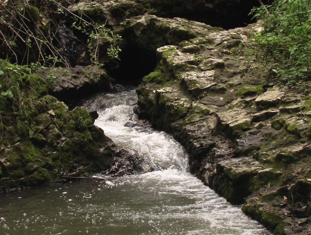 Il Molinaccio Al Rio Chiaro Villa Civitella dʼAgliano Exteriör bild