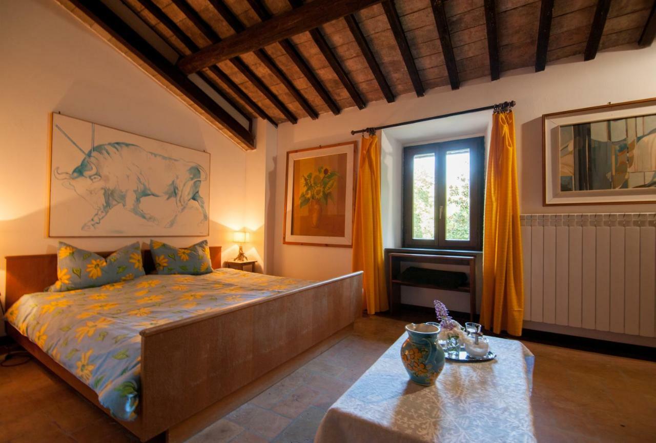 Il Molinaccio Al Rio Chiaro Villa Civitella dʼAgliano Exteriör bild