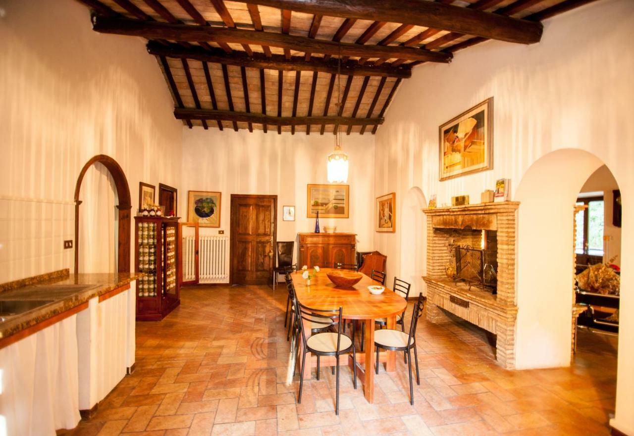 Il Molinaccio Al Rio Chiaro Villa Civitella dʼAgliano Exteriör bild